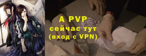амф Вязьма