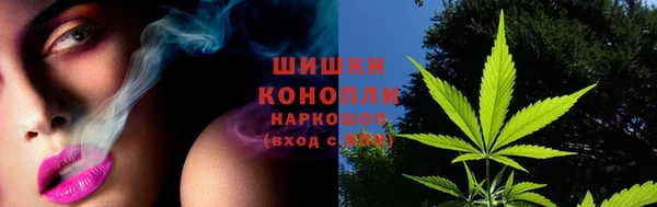 амф Вязьма